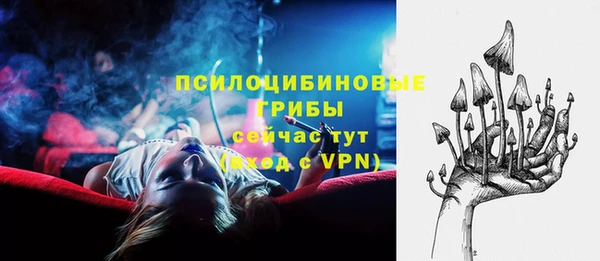 хмурый Покачи