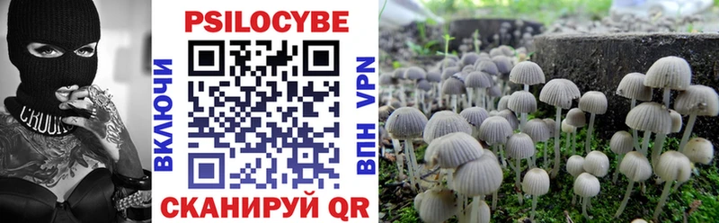 omg ссылка  Жуков  Псилоцибиновые грибы мицелий 